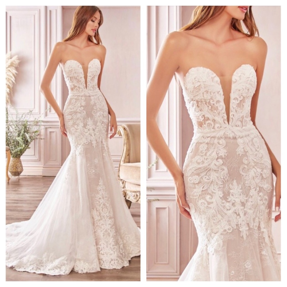 Cinderella Divine Bridal Wedding Gown